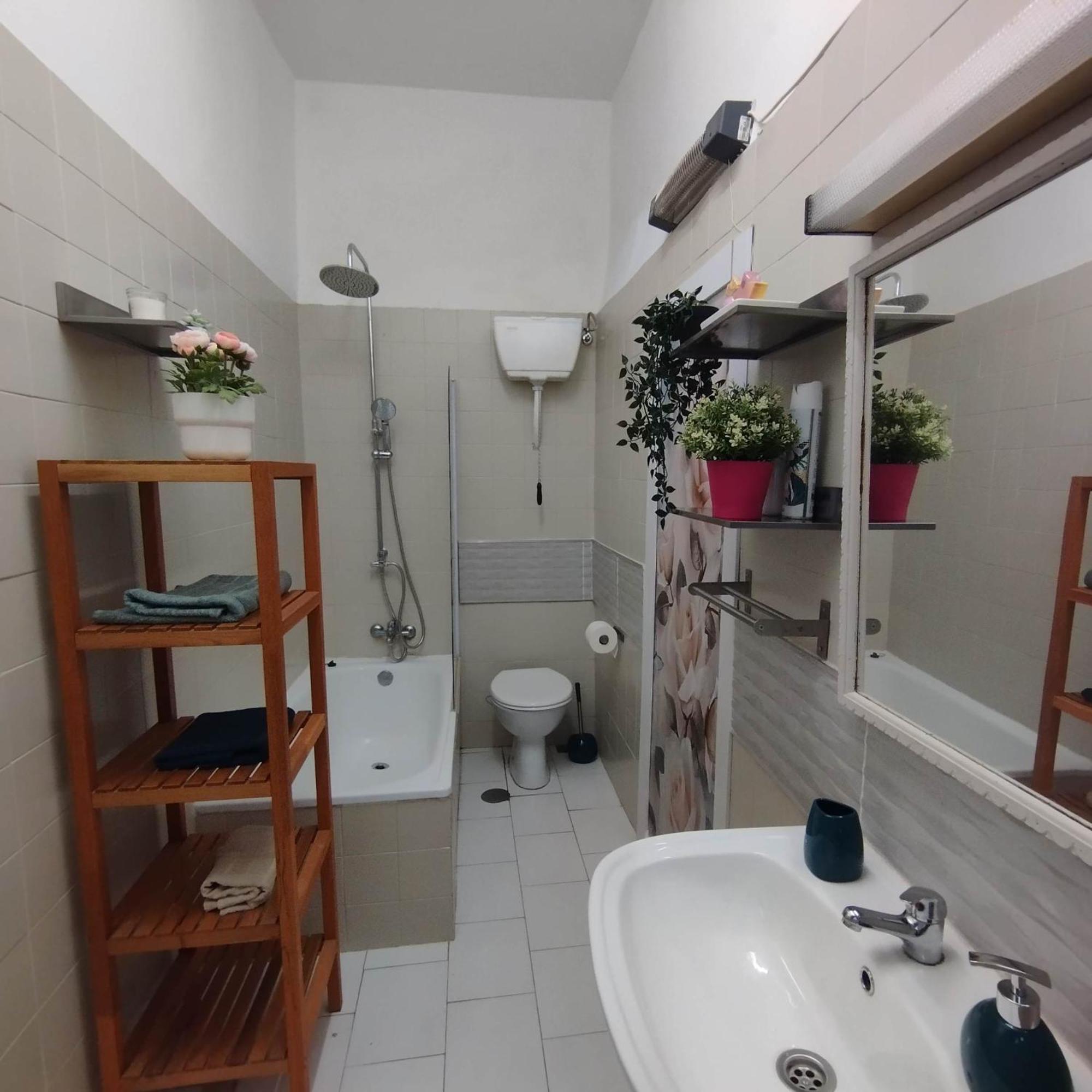 Apartamento Piso En El Casco Antiguo Con Patio Privado